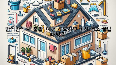 ✨ 반짝반짝 새 출발! 🏡 예천군 효자면 이사 청소 꿀팁 대방출! 💎