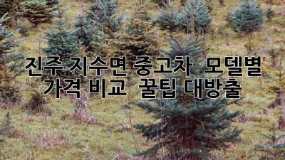 진주 지수면 중고차, 🚗 모델별 가격 비교 & 꿀팁 대방출! 🍯